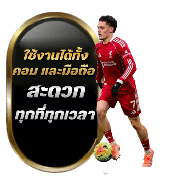 ใช้งานได้ทั้ง คอมและมือถือ